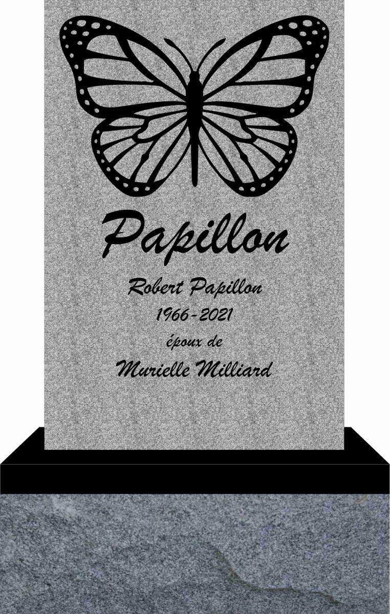 modèle-Papillon-2021